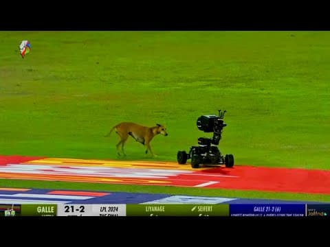 Dog Invades Cricket Field: Buggy Cam in Pursuit! 🚔